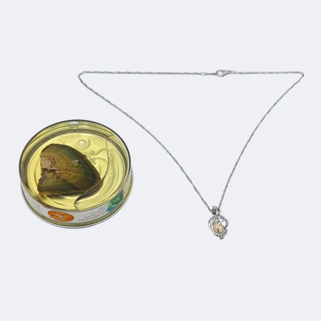 Collar Piedras Energéticas Zodiacales Reiki Chakra