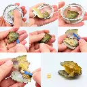 Collar Piedras Energéticas Zodiacales Reiki Chakra