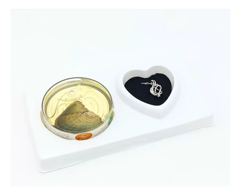 Collar Piedras Energéticas Zodiacales Reiki Chakra