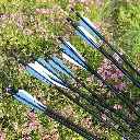 Set X5 Flecha Para Arco Fibra De Vidrio Y Punta Rosca 80 Cm