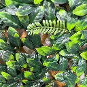 Cerca Madera Extensible Enredadera Artificial Plegable Hojas 