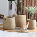 Set X3 Cesto Junco Con Manija Resistentes Decoracion Unicos®