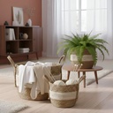 Set X3 Canasto Organizador Fibra Vegetal Estilo Ratan Manija