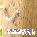 Canasto Cesto Ropa Sucia Pleglable Look Bambu Grande Tapa Ql 